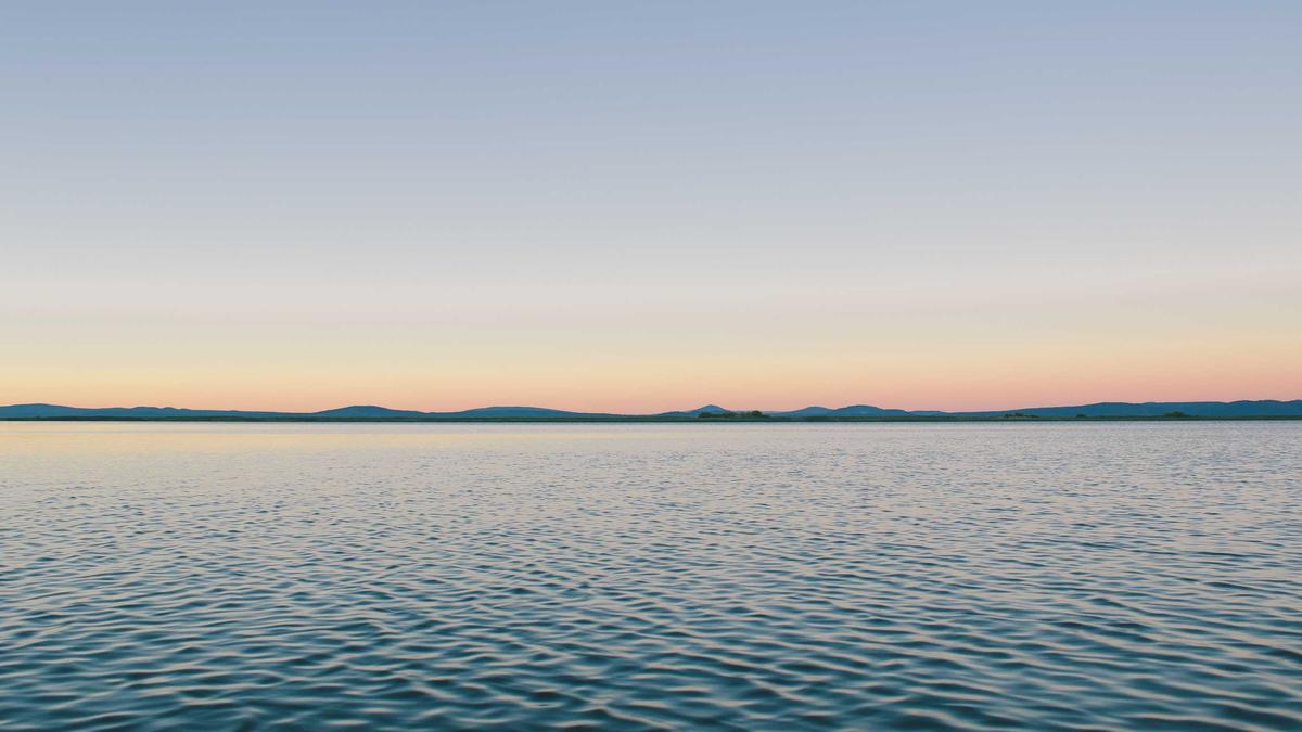 Illustration zu Turnbuckle Film