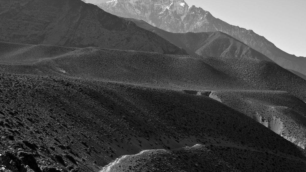 Detailansicht: Turnbuckle Film