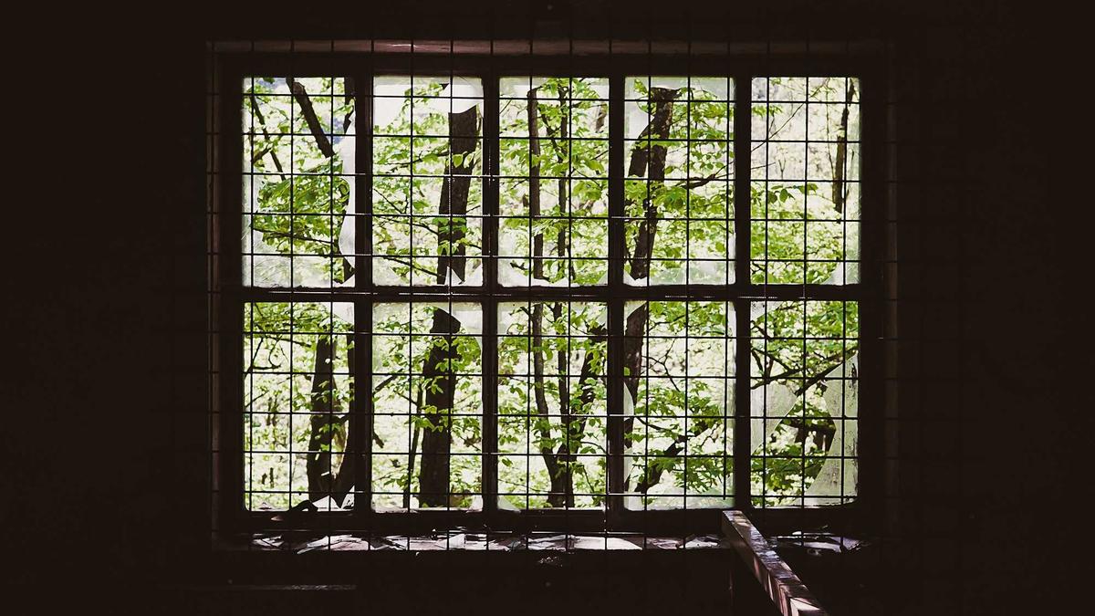 Detailansicht: Valentin Lusin