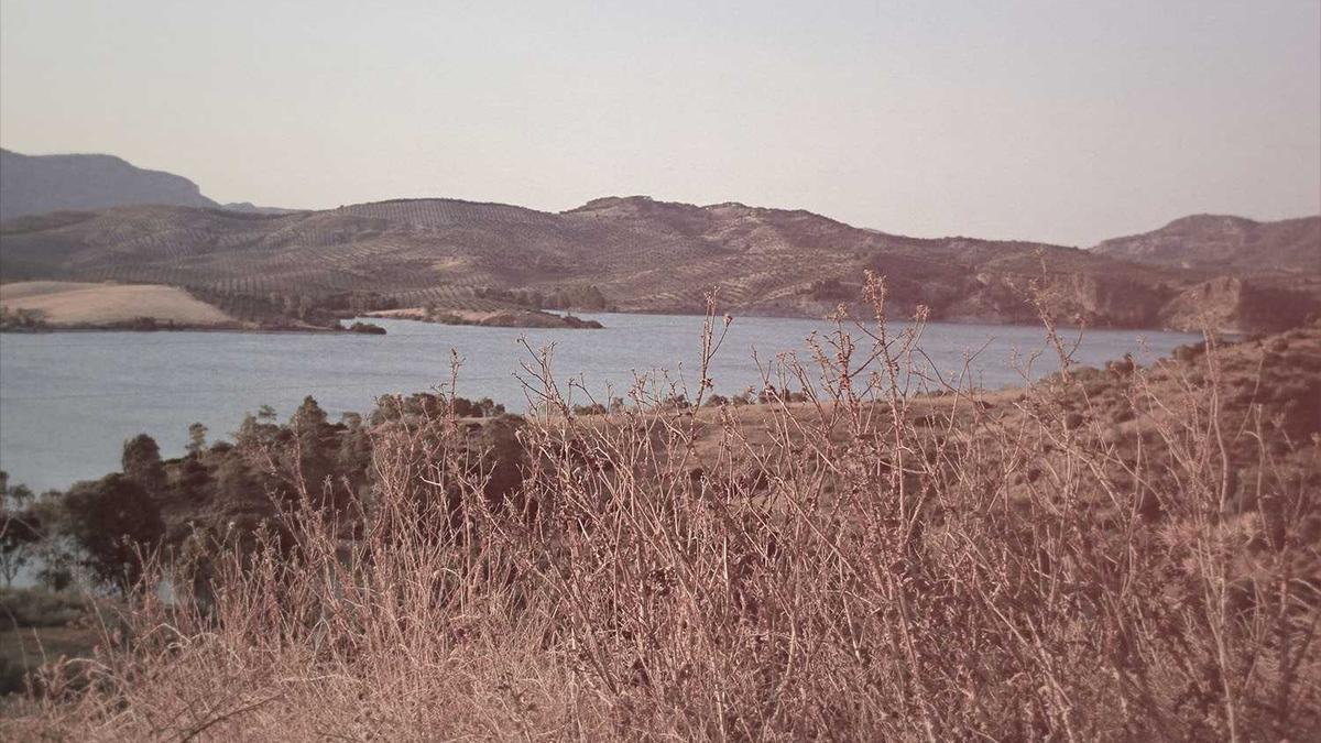 Detailansicht: VFB Stuttgart – Werder Bremen