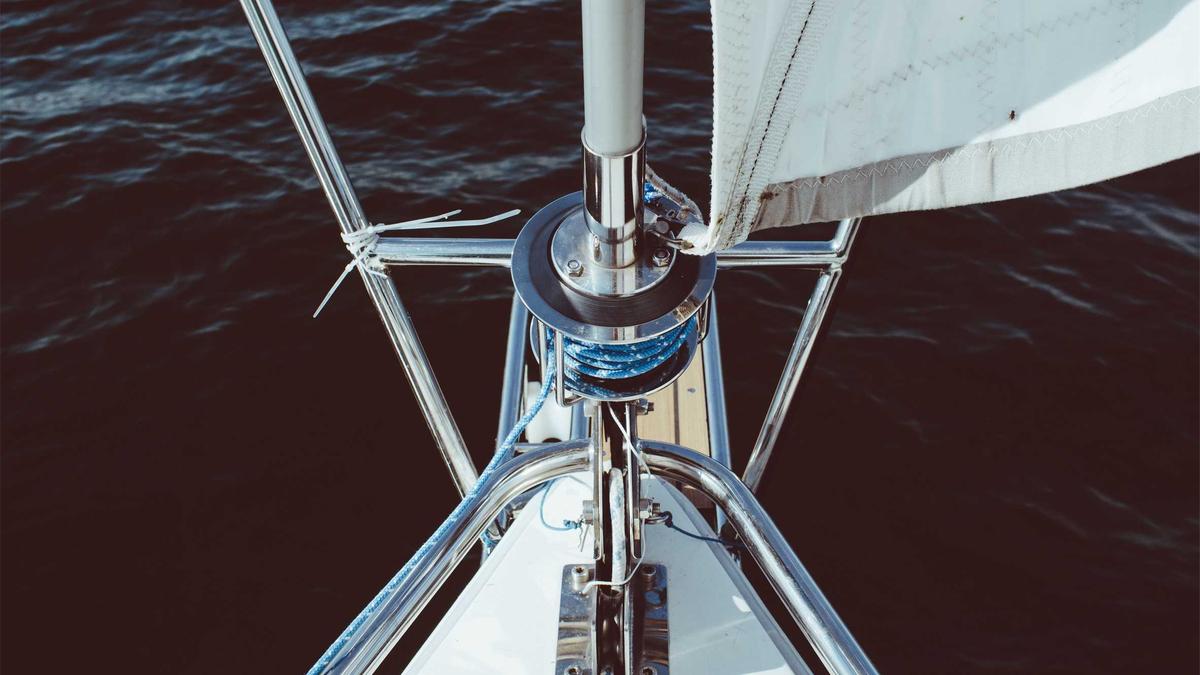 Detailansicht: Wal Rettungsaktion