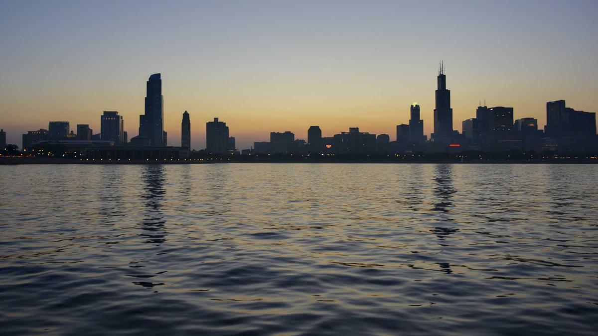 Detailansicht: Wal Strandung Aktuell