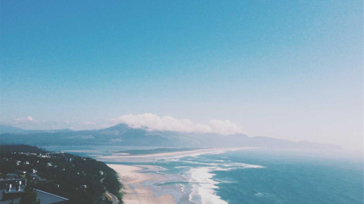 Weißwal Illustration zu Weißwal