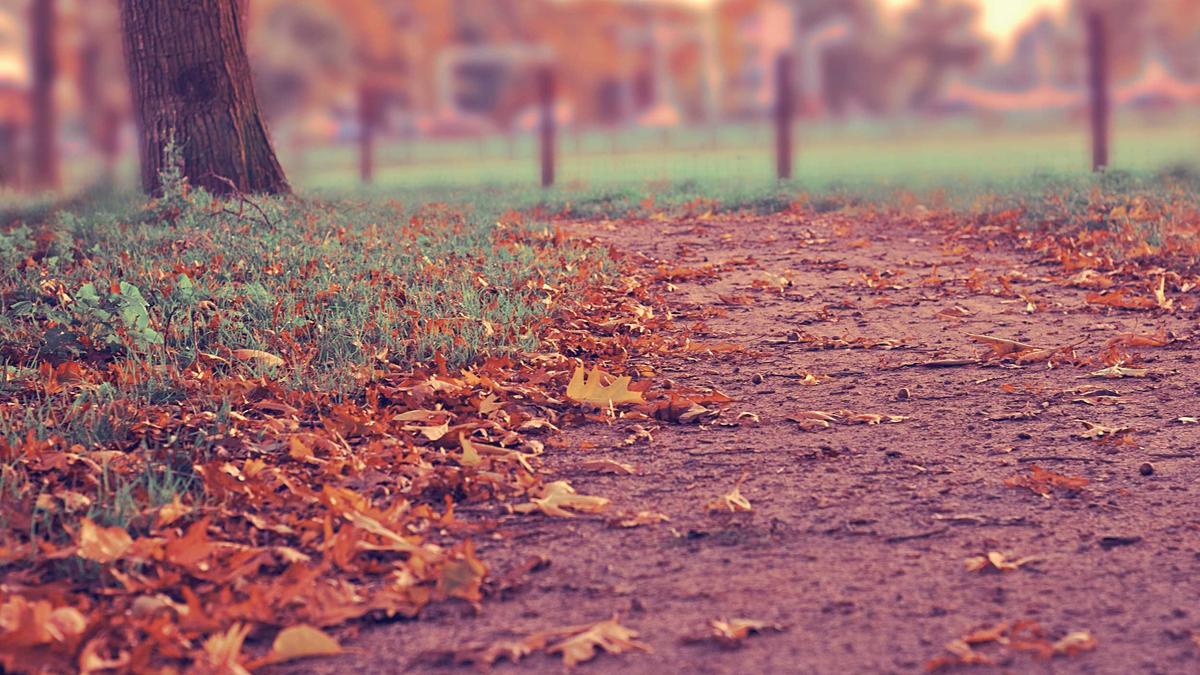 WhatsApp Speicher Freigeben Symbolbild zum Thema WhatsApp Speicher Freigeben