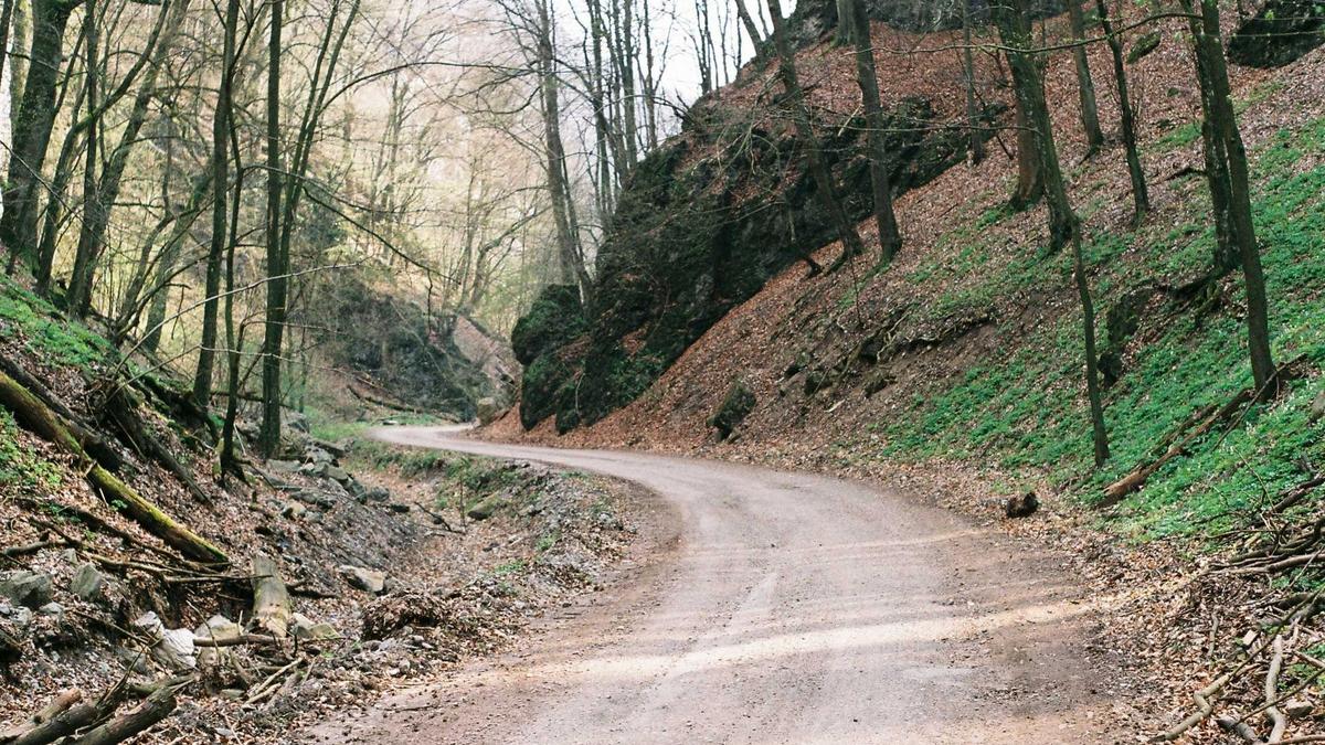 Detailansicht: Kelly Curtis