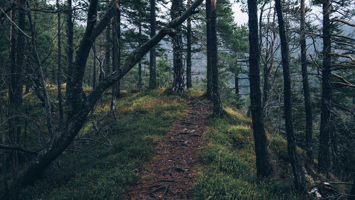 Illustration zu Mel B Wechseljahre