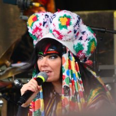 Björk – Porträt