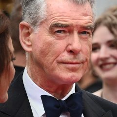 Pierce Brosnan – Porträt