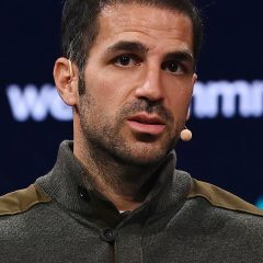 Cesc Fàbregas – Porträt