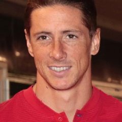 Fernando Torres – Porträt