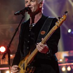 Sting – Porträt