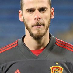 David de Gea – Porträt