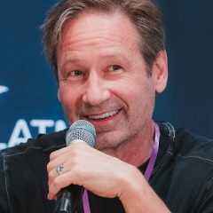 David Duchovny – Porträt