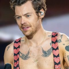 Harry Styles – Porträt