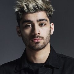 Zayn – Porträt