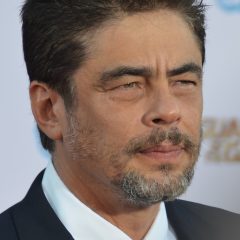 Benicio del Toro – Porträt