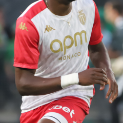 Denis Zakaria – Porträt