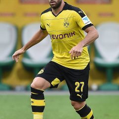 Gonzalo Castro – Porträt