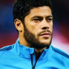 Hulk – Porträt