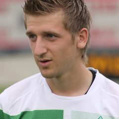 Marko Marin – Porträt