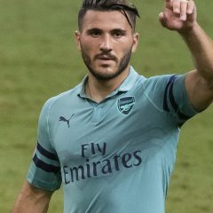 Sead Kolašinac – Porträt