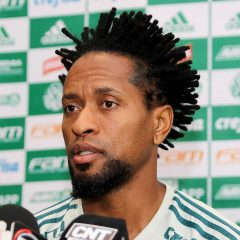 Zé Roberto – Porträt