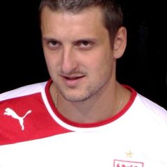 Zdravko Kuzmanović – Porträt